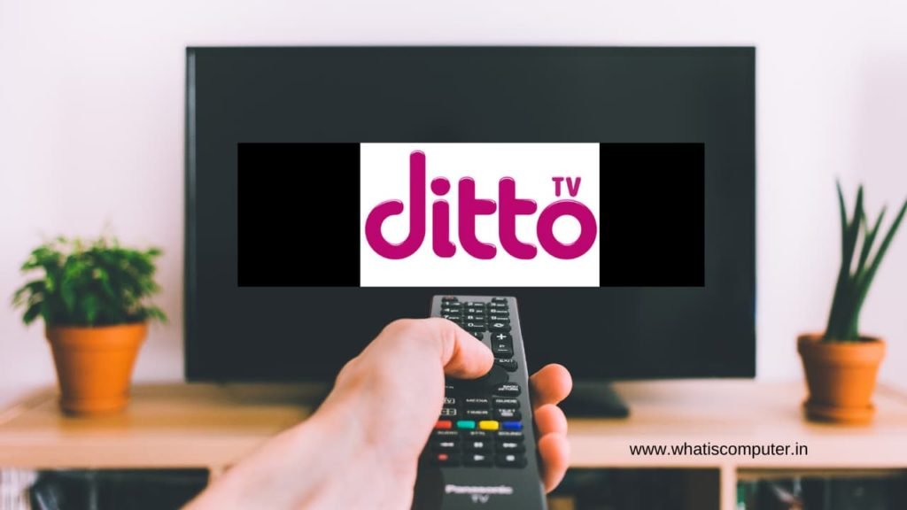 How to Use Ditto TV: What is Ditto TV, How to Play on PC & Recharge 