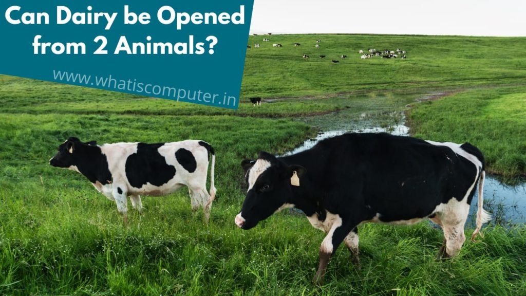 Can Dairy be Opened from 2 Animals?