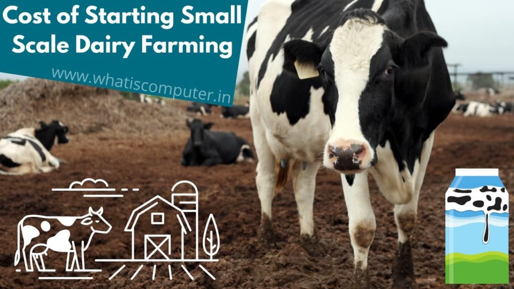 Cost of Starting Small Scale Dairy Farming