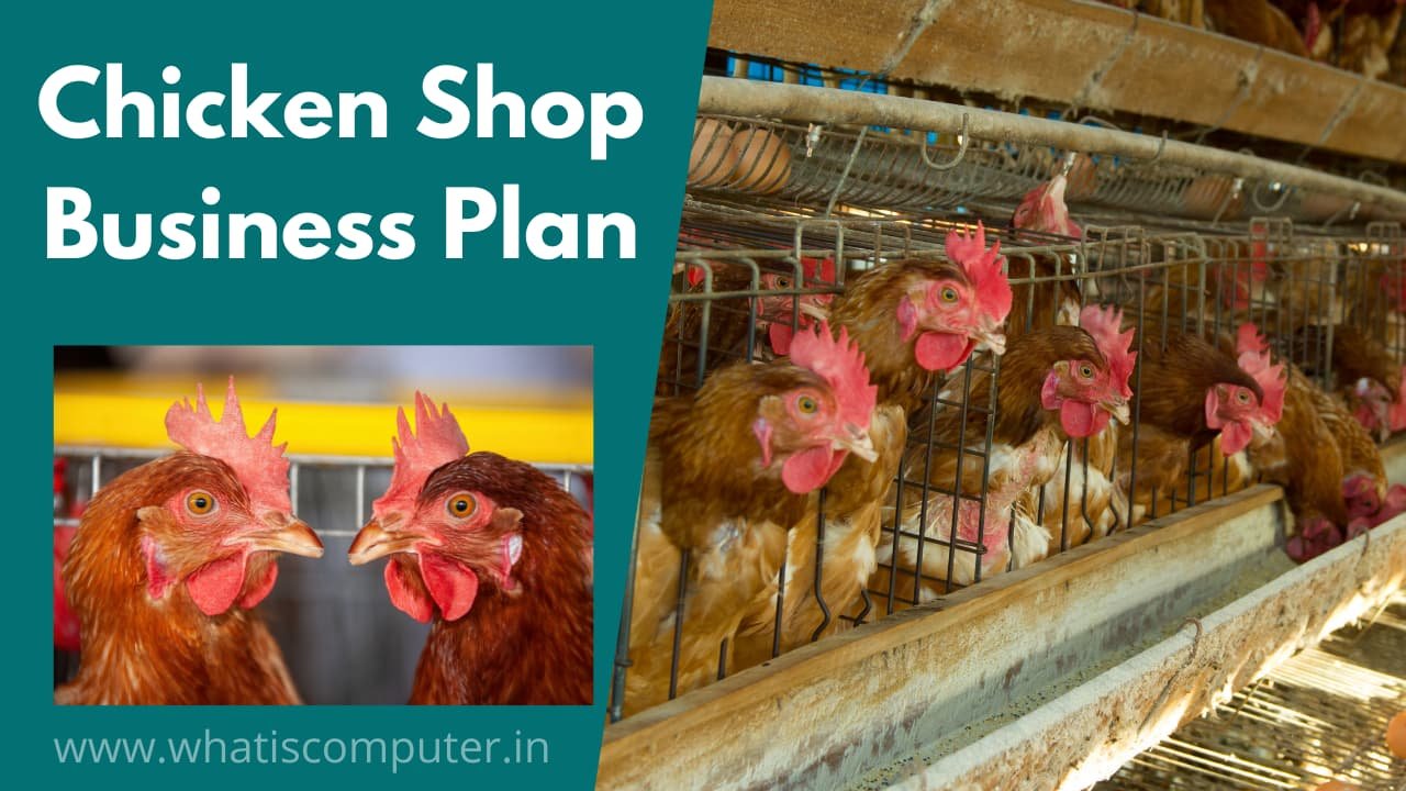 Chicken Shop Business Plan in India