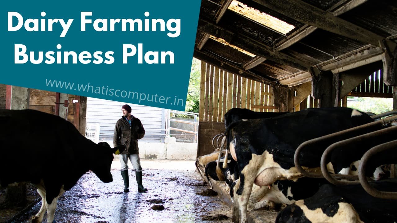Dairy Farming Business Plan